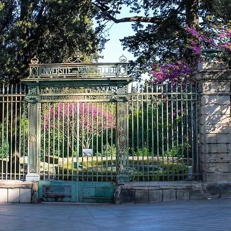 Spacious On The Edge Of The Historic Center Montpellier