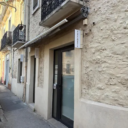 Spacious On The Edge Of The Historic Center Appartamento Montpellier